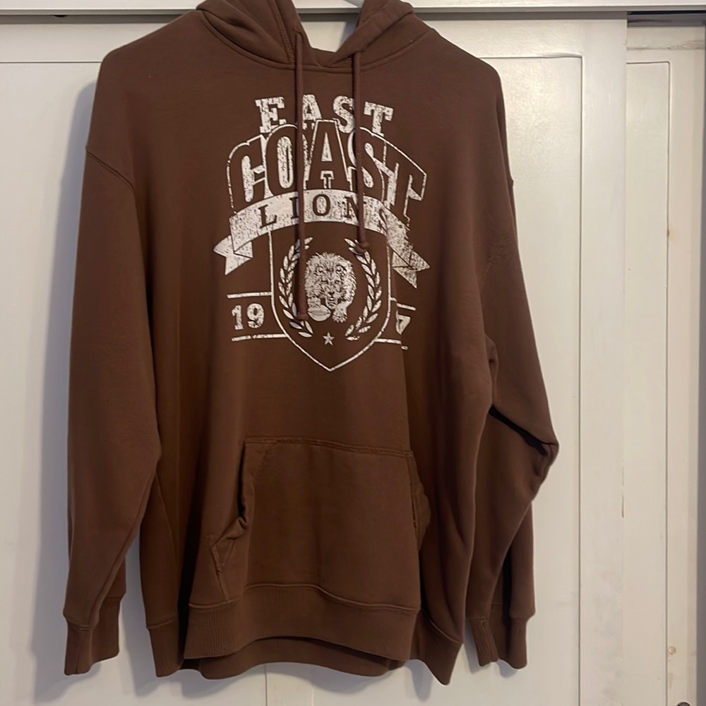 Hollister Hoodie